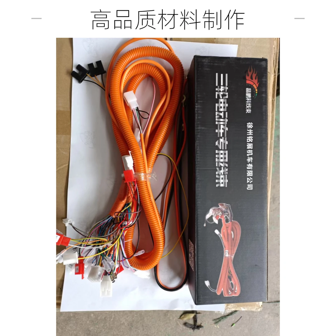 2只装电动三轮车线路总成太子款整车大线国标线束全车线路