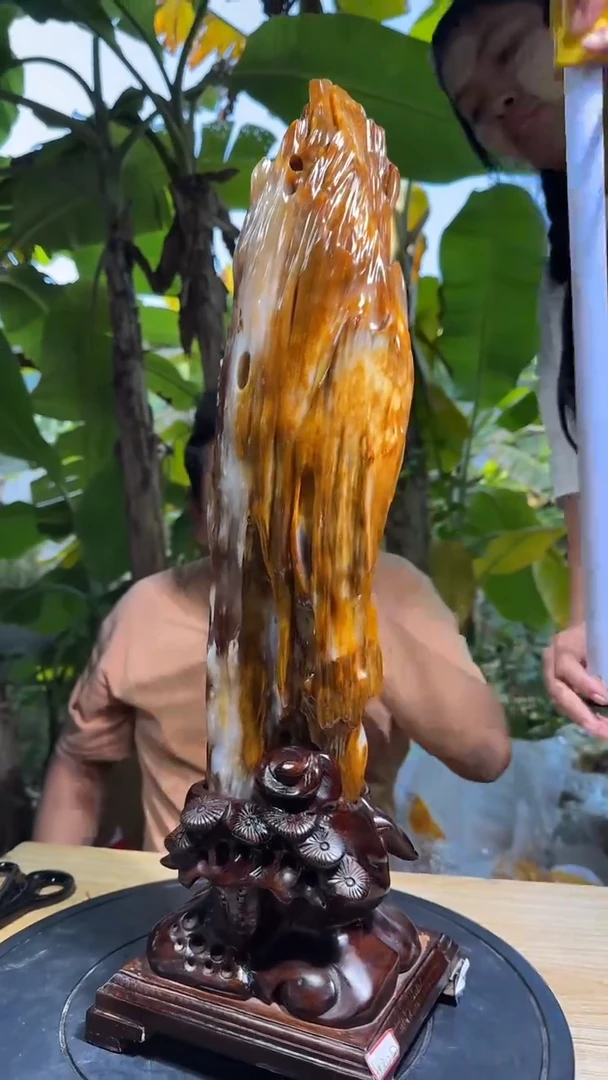 【闪购商品】硅化玉珠宝奇石未镶嵌拍一发一