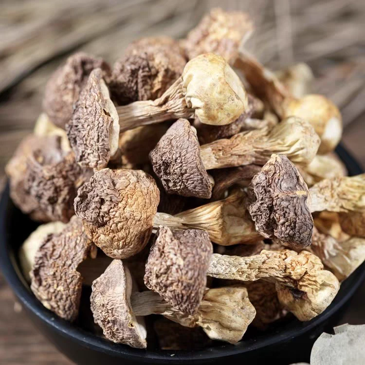 姬松茸干货精选无硫巴西菇未开伞松茸菇