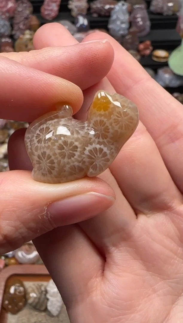 颈饰未镶嵌硅化珊瑚（珊瑚玉）822