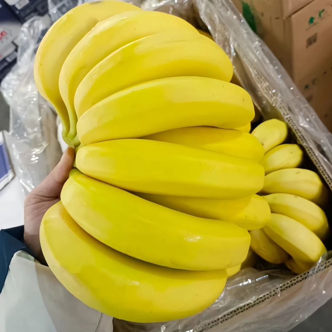 金手指香蕉500g香蕉同城送