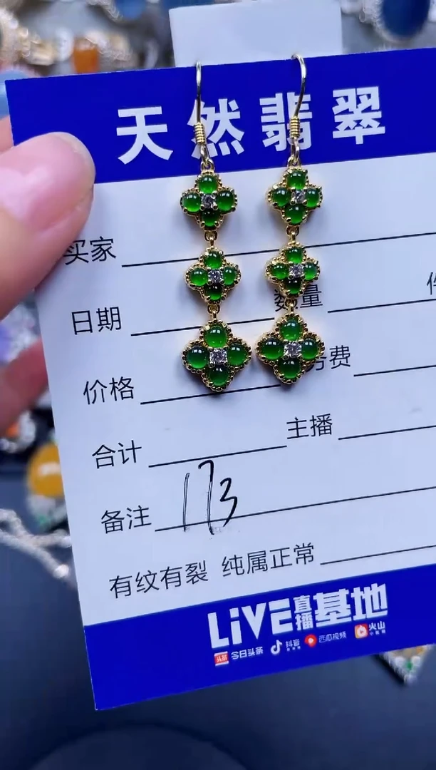 银S925镶嵌翡翠耳饰173