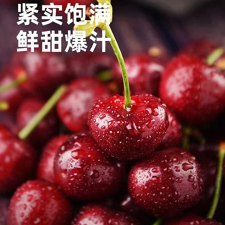 桑提娜 XLD车厘子约250g