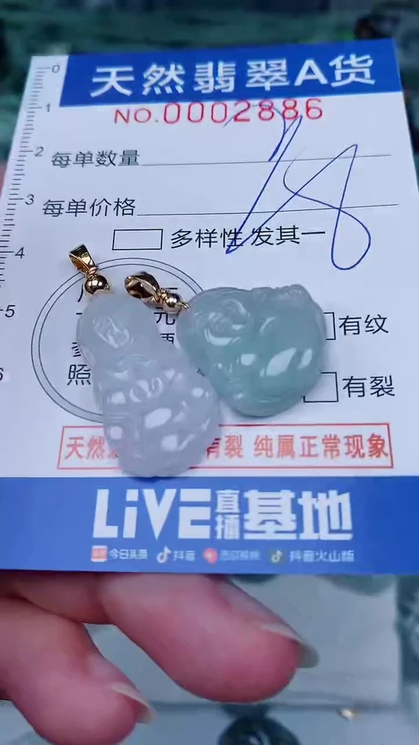 翡翠未镶嵌颈饰00002886