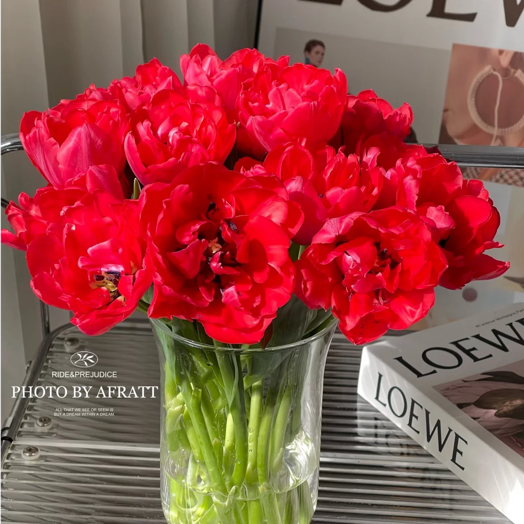 （红福）重瓣郁金香百合东北鲜花鲜切花全国送达浪漫郁金香百合鲜花