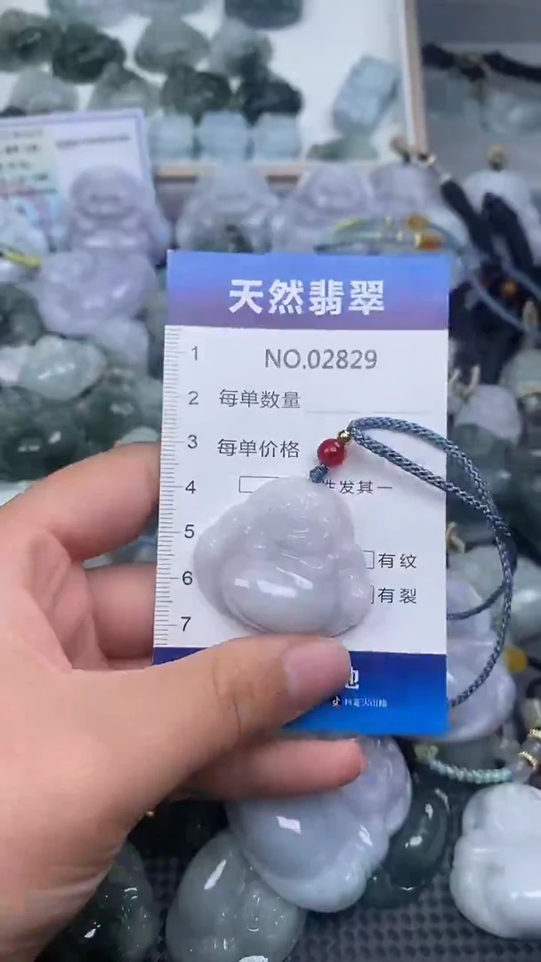 颈饰未镶嵌翡翠纯天然A货翡翠2829