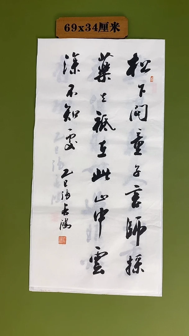 书法书法 张若鸿 尺寸69cm*34cm