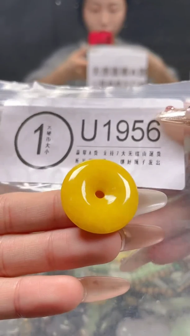 【闪购商品】翡翠颈饰未镶嵌/U/翡翠A货一图一物