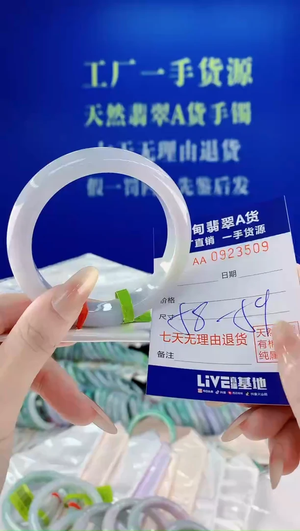 未镶嵌手镯翡翠09