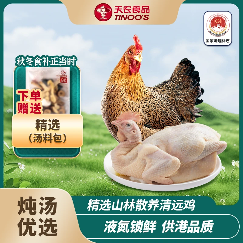 【赠汤料包】天农清远鸡煲汤甄选老母鸡净重600g以上 包冰率10%以内