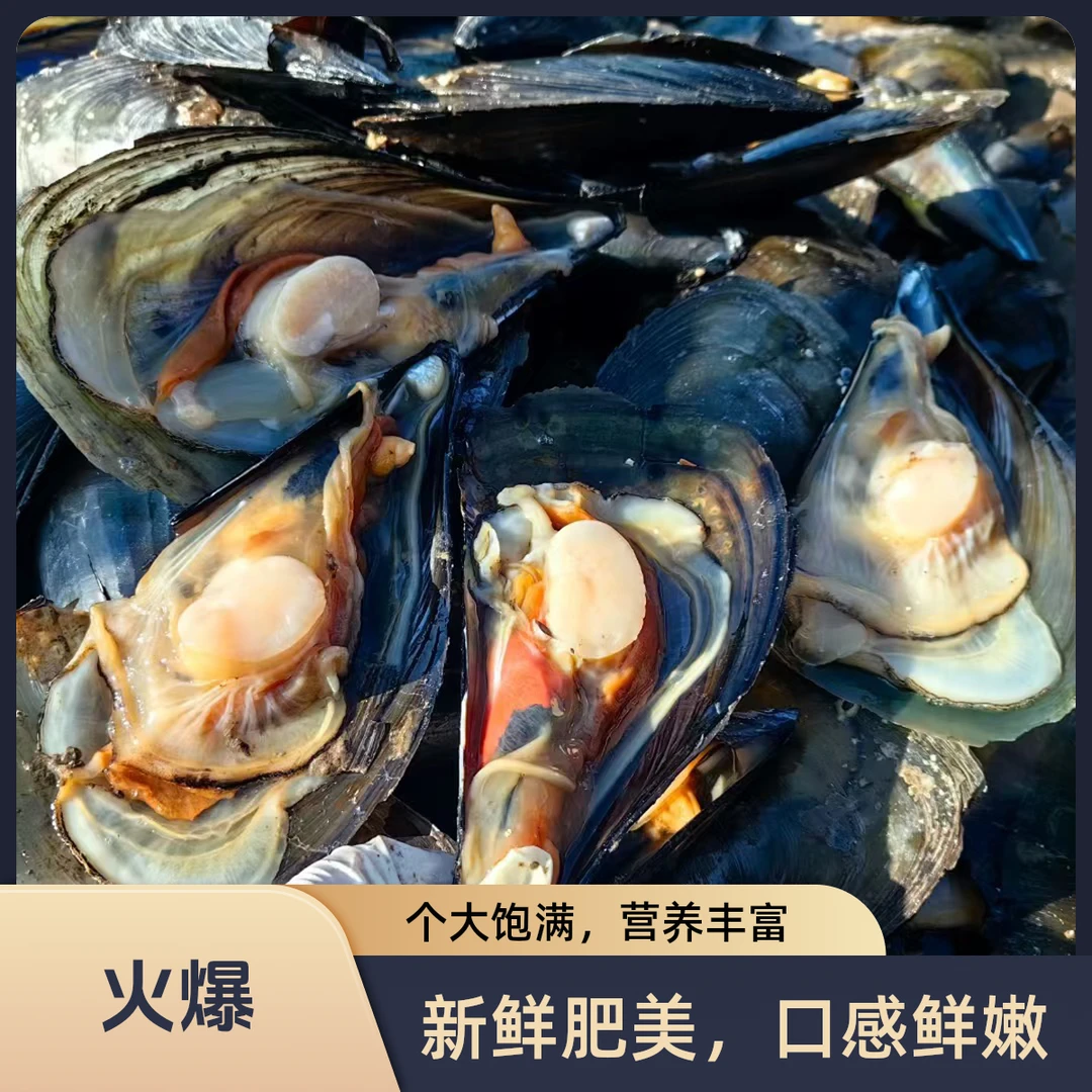 鲜活小油带子（10个+蘸料）/g