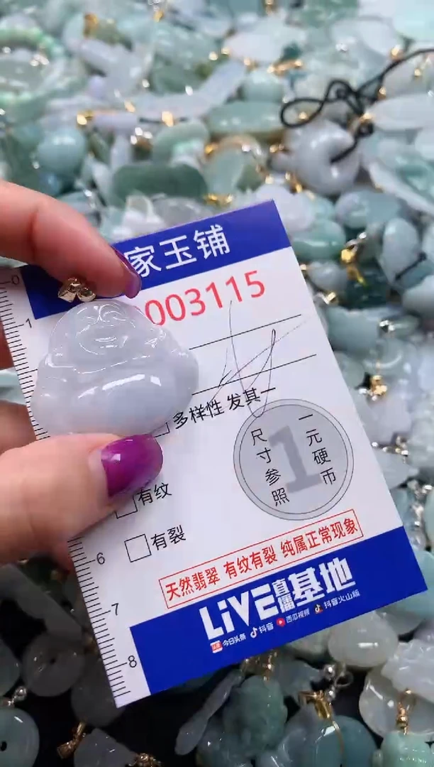 颈饰未镶嵌翡翠3115