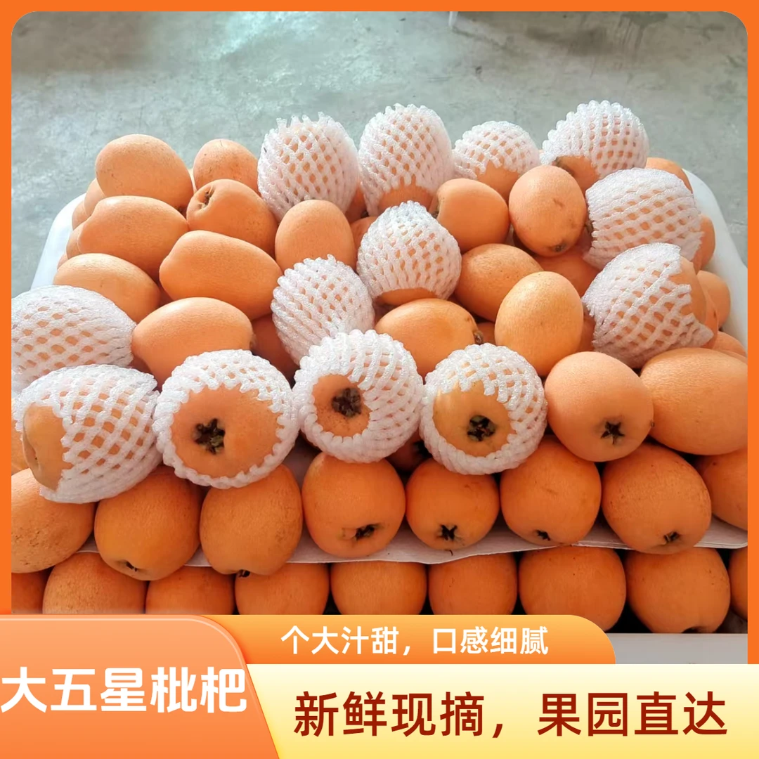 四川雅安大五星枇杷果园现摘自然成熟当季新鲜水果皮薄多汁