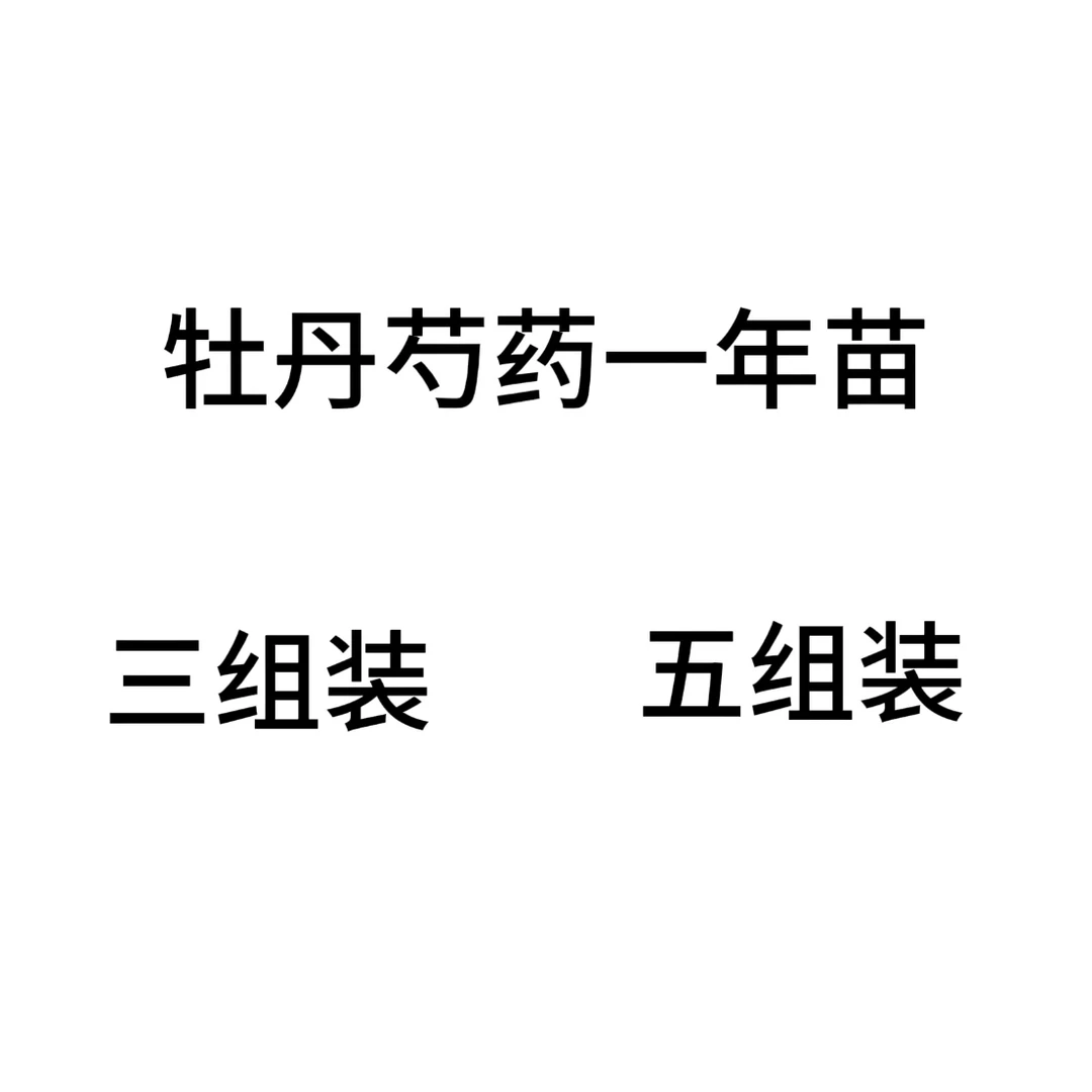 牡丹芍药一年苗 三组装和五组装