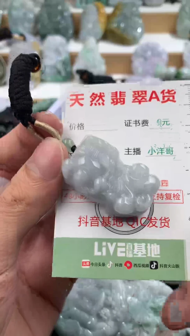 翡翠未镶嵌吊坠(不含链)1