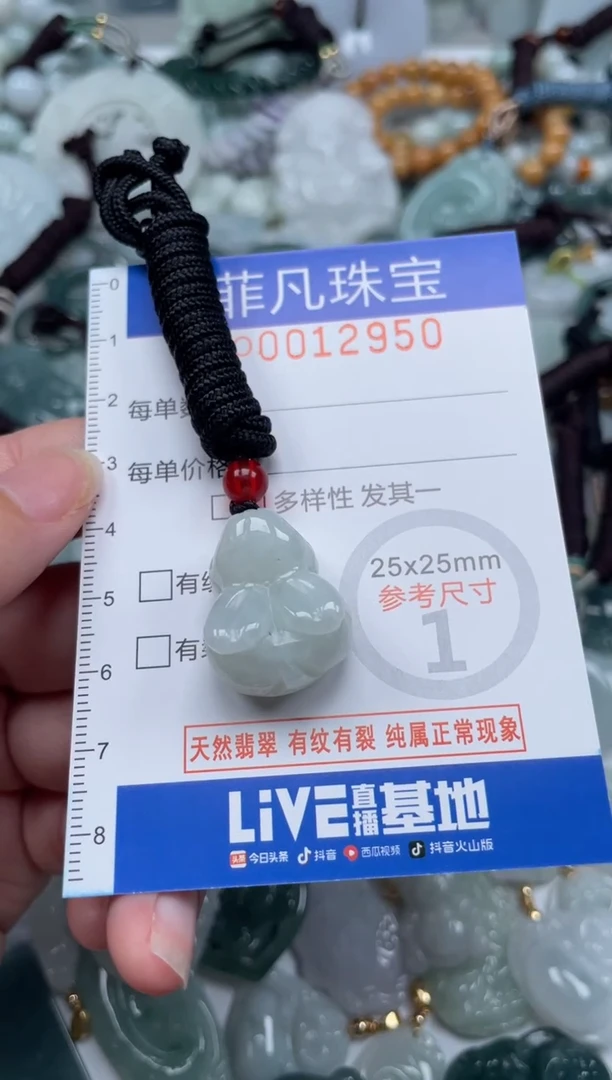 颈饰未镶嵌翡翠12950