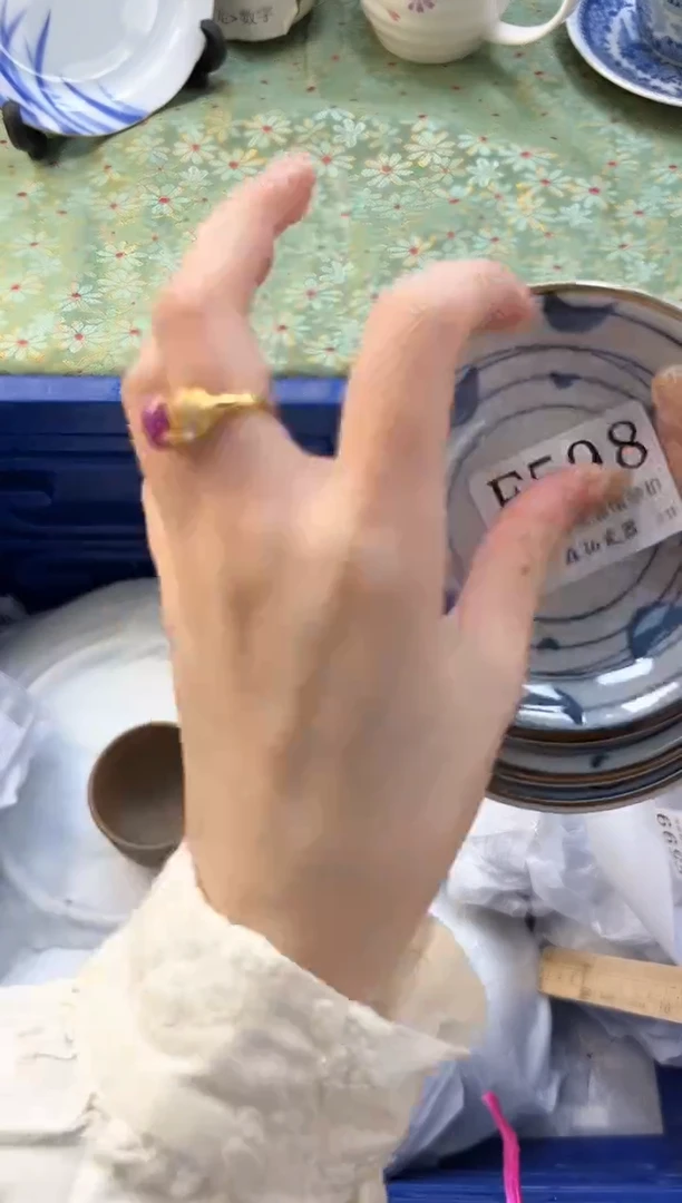 【闪购商品】瓷片          F598