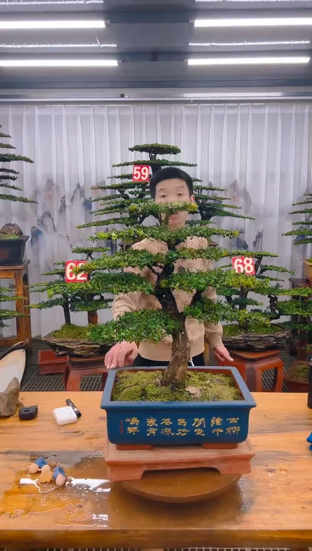 【闪购商品】紫砂精品盆景直播间一物一拍