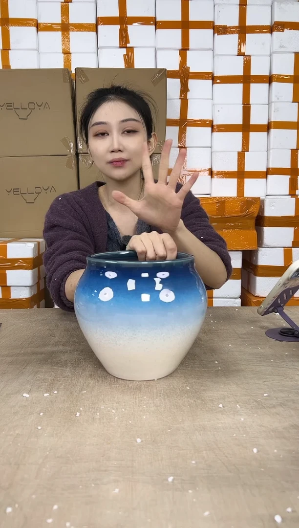 花盆花盆中号12.25--1