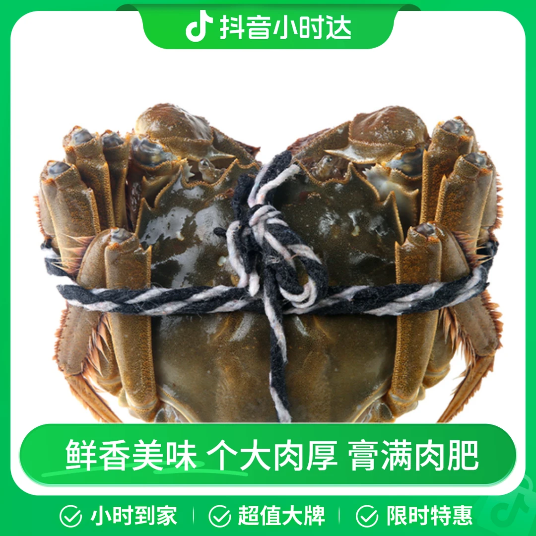 精品大闸蟹（公）约3两 135-160g/只