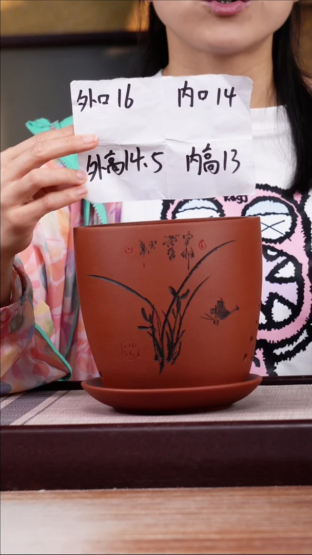 紫砂花盆清水泥君子兰2号一只带托