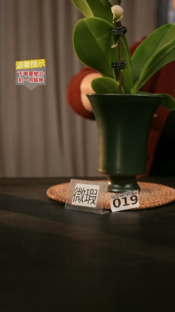 瓷片019内口径约11-12 外高约15