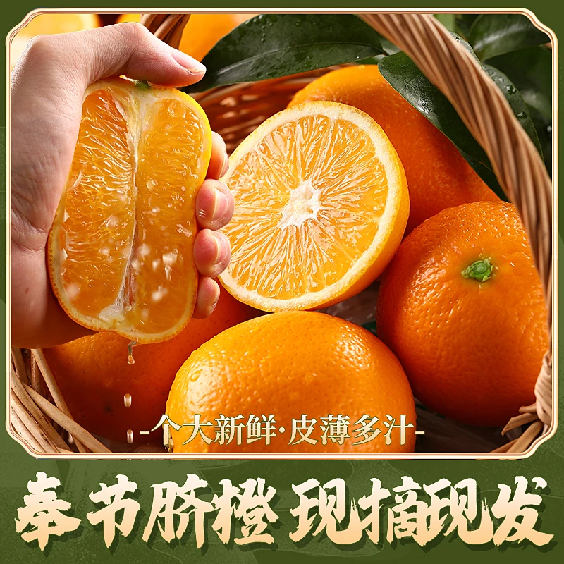 老树果【顺丰次日达】正宗奉节脐橙72-1现摘现发新鲜5斤/10斤直发水果