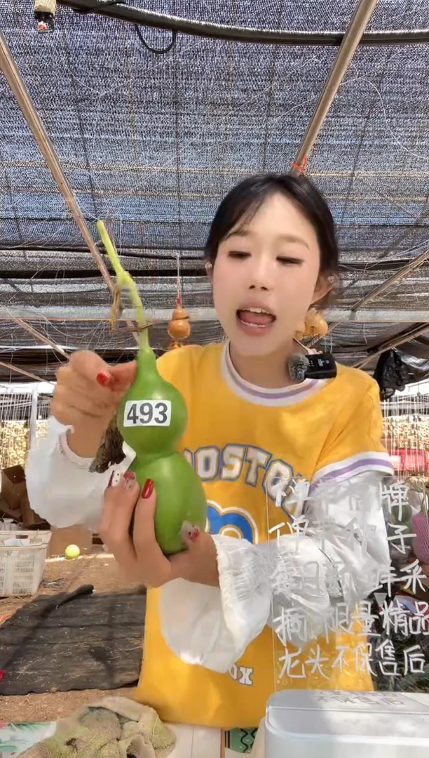 493天然葫芦摆件 一物一拍龙头不保售后