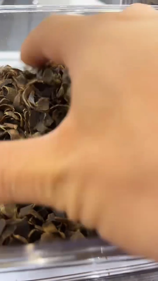 沉香沉香碎屑棋楠切片99沉10g装