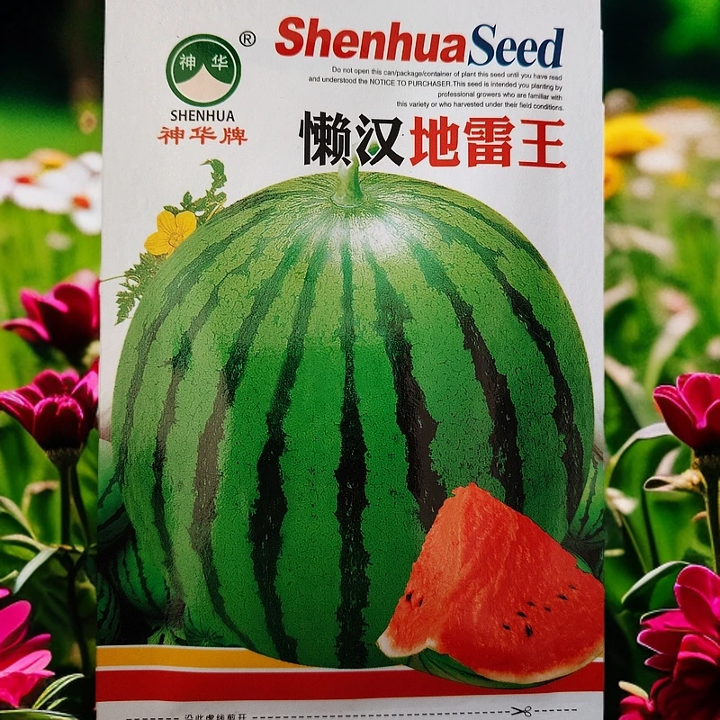 懒汉地雷西瓜种子