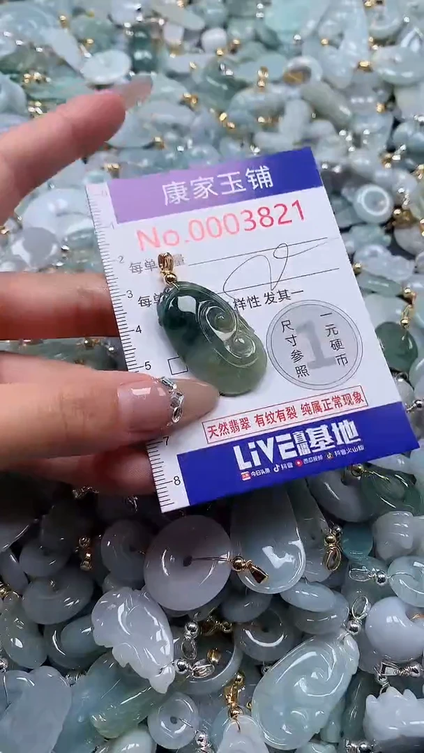翡翠未镶嵌吊坠(不含链)3821
