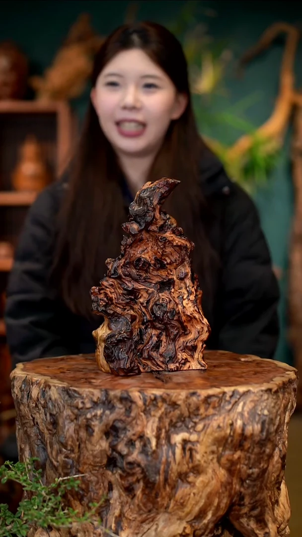 木蚩*Q雷击枣木半壁江山