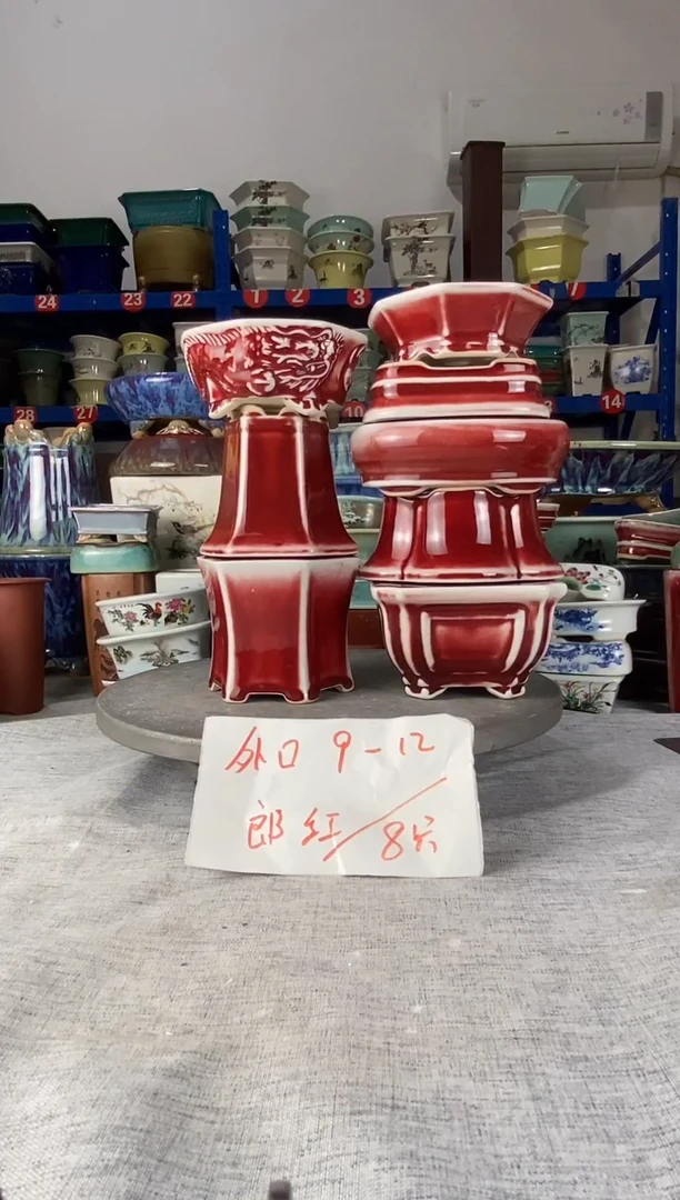 92509八只郎红花盆
