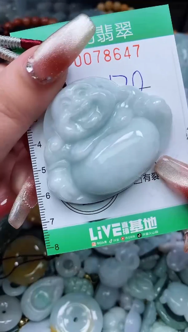 【闪购商品】翡翠颈饰未镶嵌闪购0078647