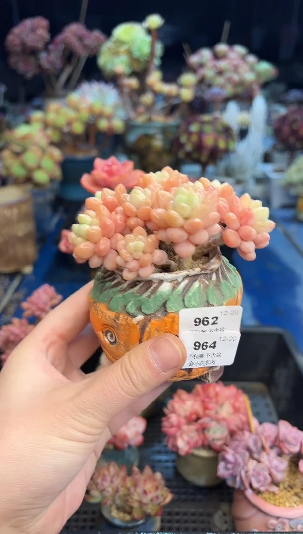 【闪购商品】964花瓶