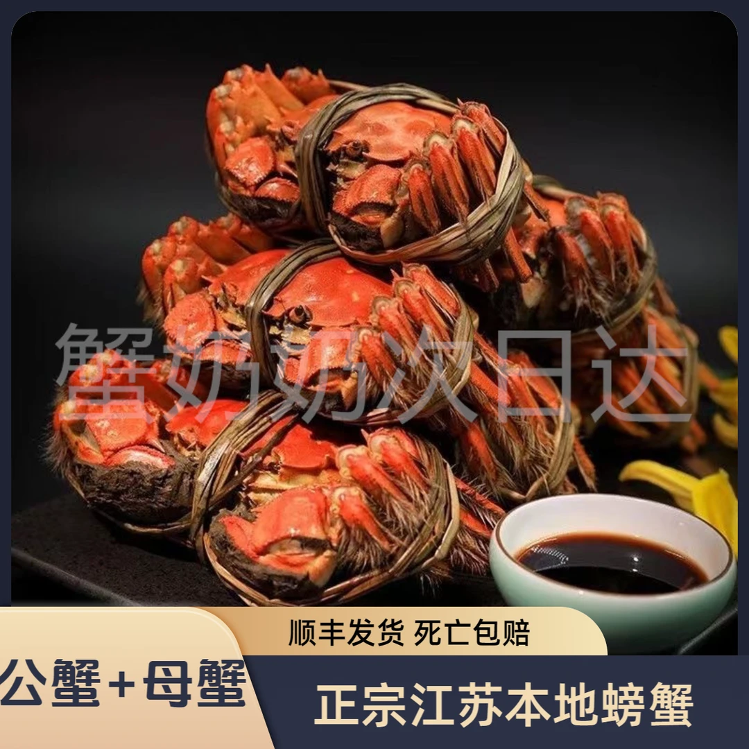 【活蟹公蟹+母蟹】鲜活河蟹1.9-2.2两/8只装组合江苏洪泽湖螃蟹顺丰