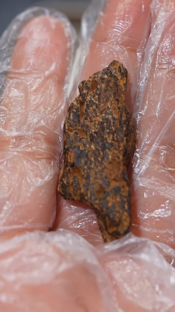 沉香沉香碎屑游**间斯里兰卡虎斑棋沉水2.6克