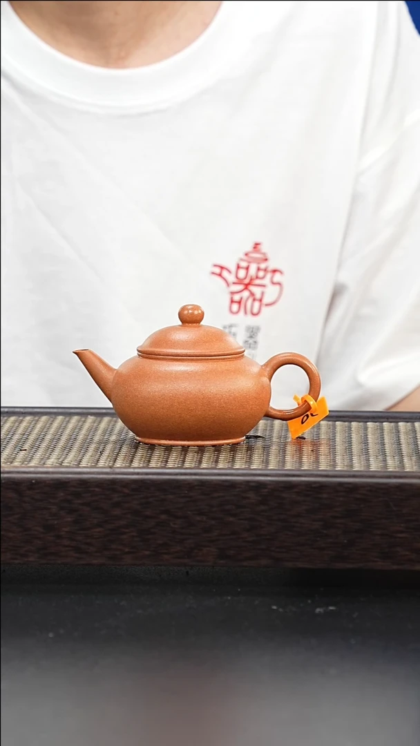 茶壶紫砂全手工黄降坡水平