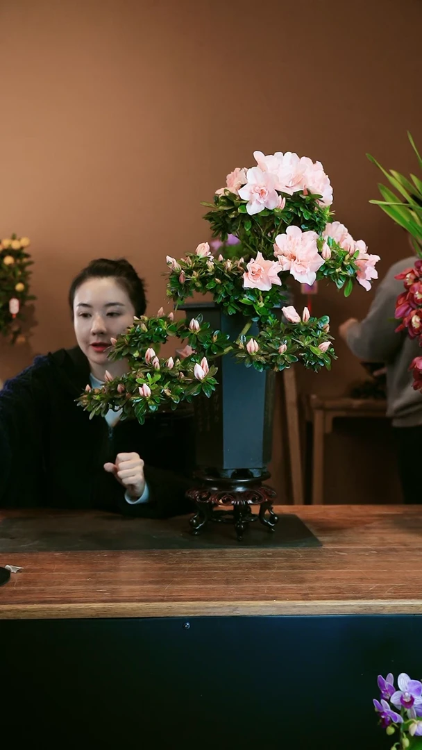 【闪购商品】盆景杜鹃花