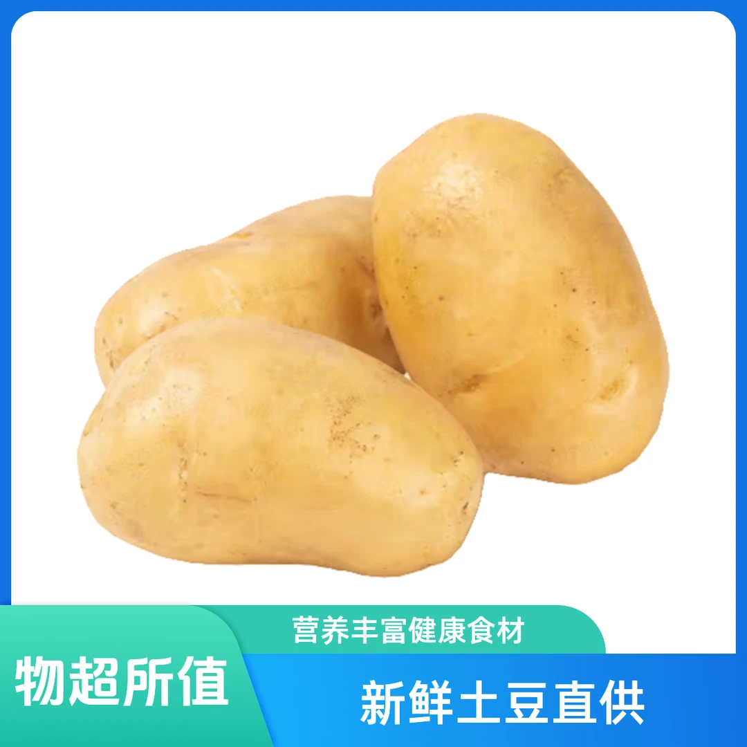 土豆1.5kg土豆同城配