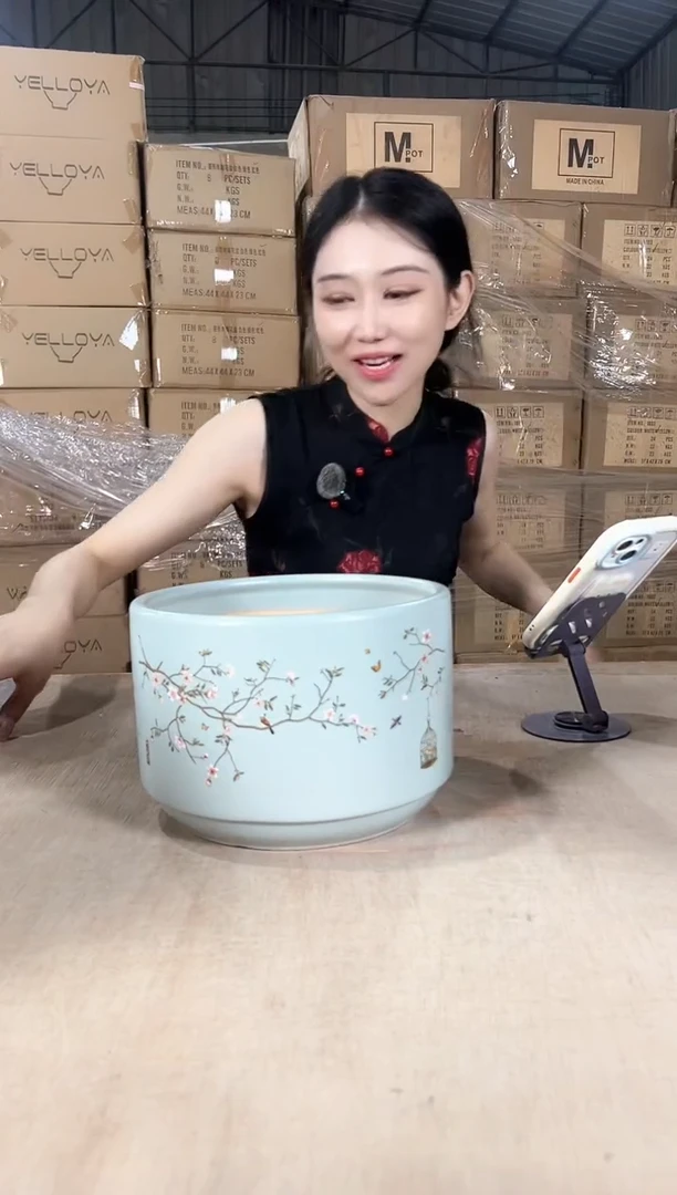 蝴蝶兰鸟笼蓝色中号21x15