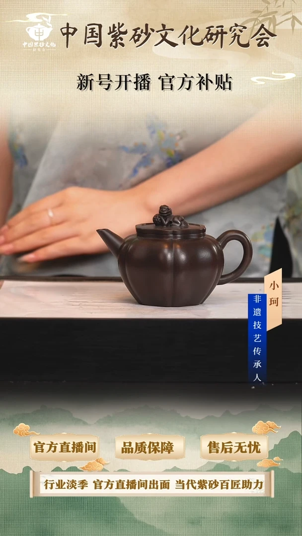 茶壶紫砂陶茶文化朱            250cc左右