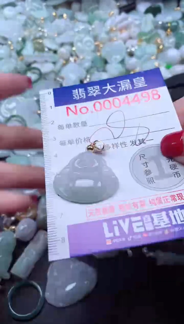 颈饰未镶嵌翡翠4498