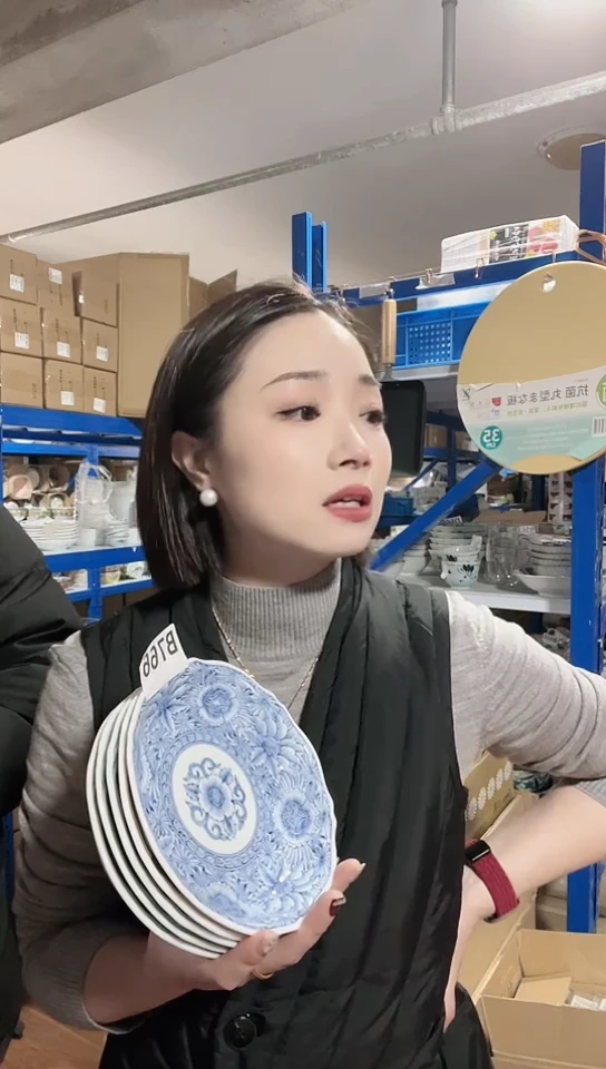 【闪购商品】瓷片日本瓷器16cm盘五只不同花色B766