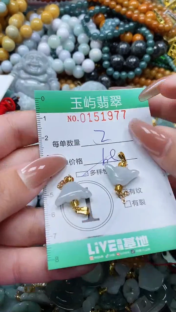 翡翠未镶嵌颈饰闪购0151977多样性发其一