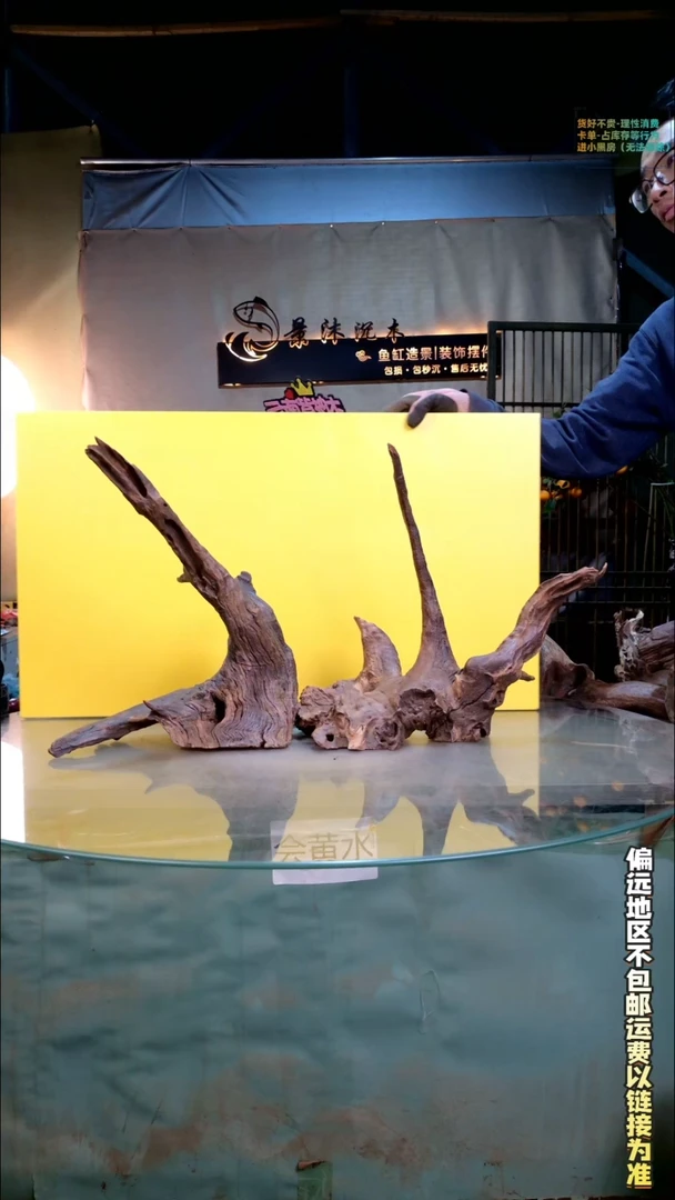 龙****?景沐沉木B151