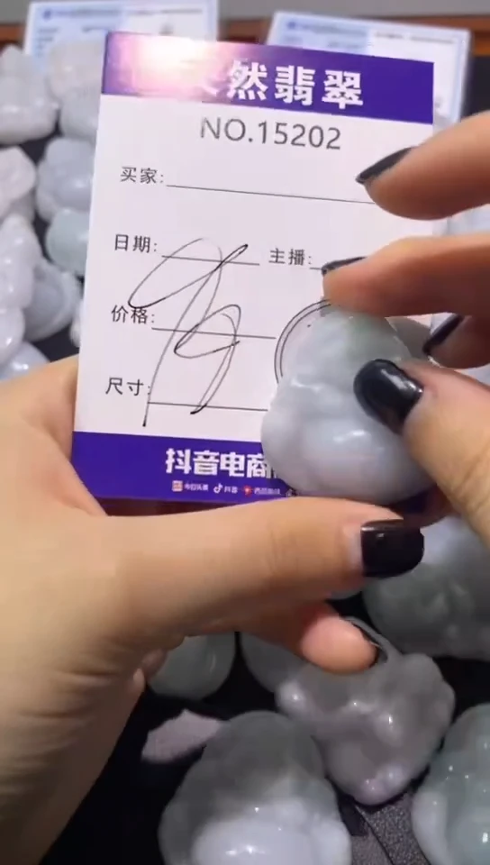 翡翠未镶嵌吊坠(赠链)202