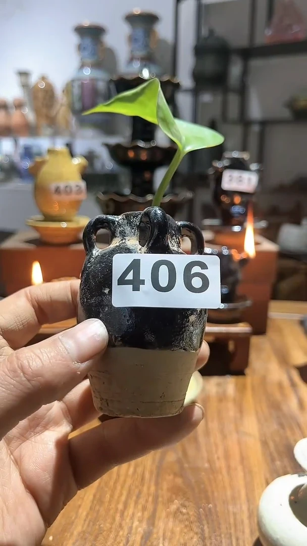 【闪购商品】摆件