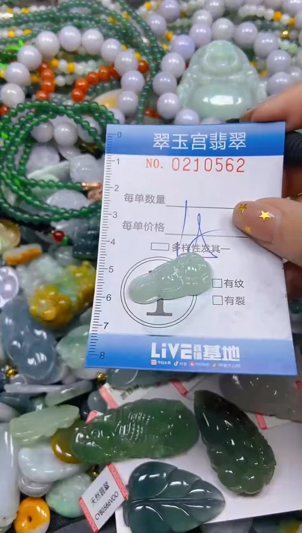 颈饰未镶嵌翡翠闪购C0210562