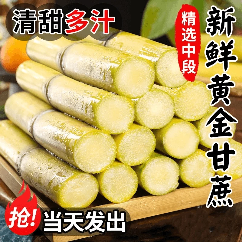 粤北黄金甘蔗鲜甘蔗新鲜脆甜多汁皮薄无渣易剥皮松脆不硬新鲜现发